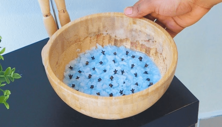 Il repellente naturale più potente per liberarti subito di tutti gli insetti in casa