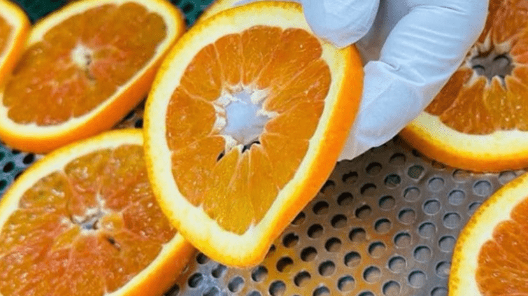 Titolo: Sbloccare il potere del limone e del carbone: un rimedio naturale semplice ed economico