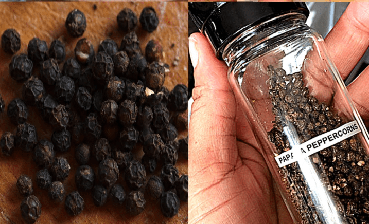 I sorprendenti benefici per la salute dei semi di papaya: una fonte di energia naturale