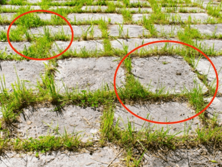 Mia nonna mi ha mostrato il modo più semplice per sbarazzarmi delle erbacce dal vialetto d'accesso con quasi zero lavoro: ecco come funziona