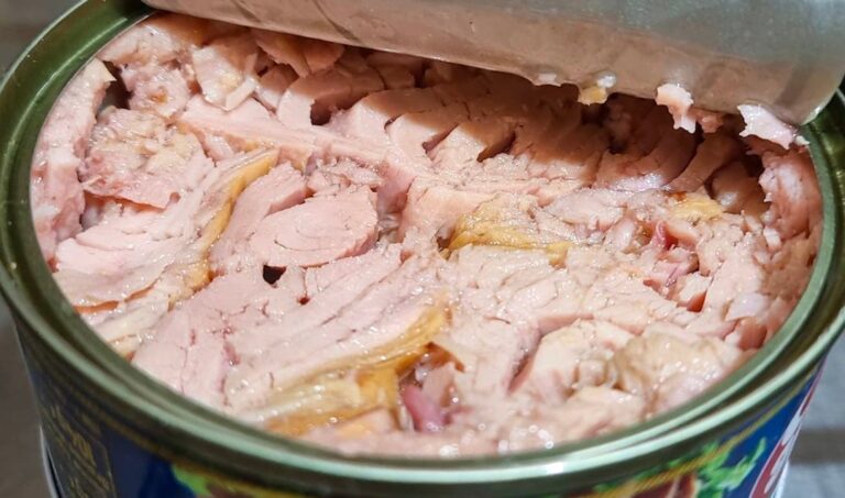 La classifica del miglior tonno in scatola all’olio di oliva secondo Gambero Rosso 2024