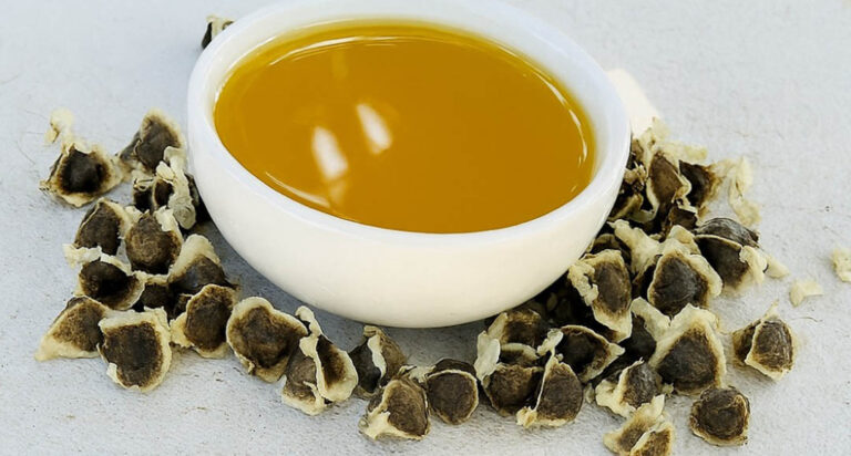 Semi di Moringa: queste piccole meraviglie che possono trasformare la tua salute