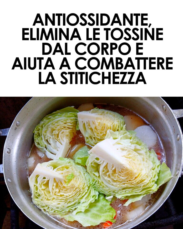 Le proprietà della verza, che ti assicura un pieno di antiossidanti anche in inverno
