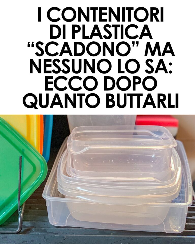 Contenitori in plastica per alimenti: quando è il momento di sostituirli per garantire la sicurezza