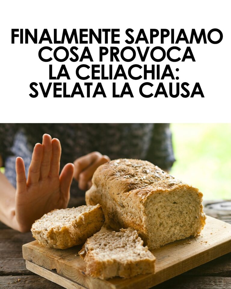 Celiachia: scoperta la causa della risposta immunitaria al glutine