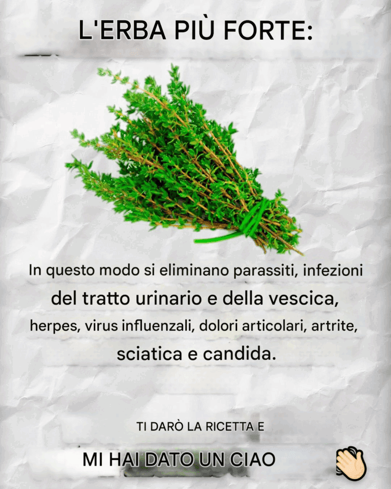 Ricette, rimedi e altro ancora