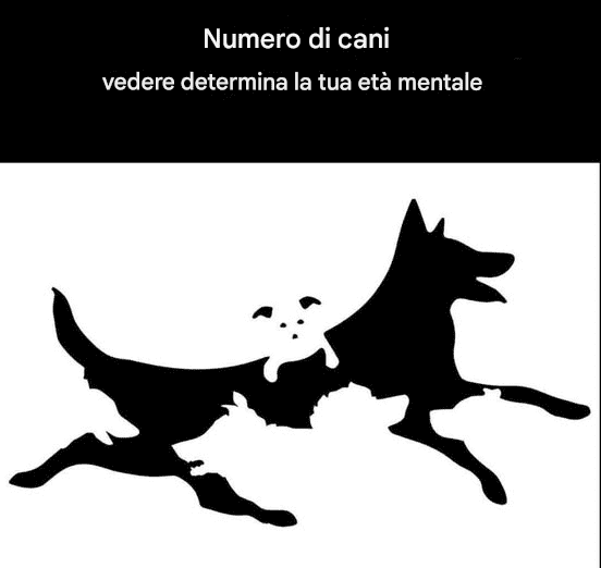 Il numero di cani che vedi in questa immagine determina la tua età mentale.