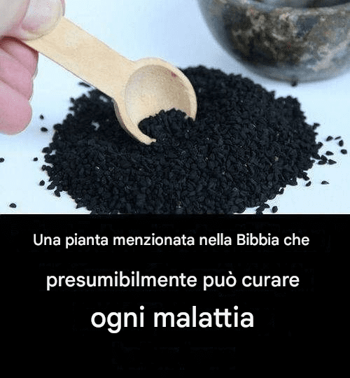 Pianta medicinale della Bibbia: un rimedio senza tempo