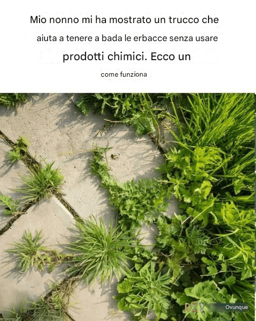 Il metodo di mio nonno è geniale