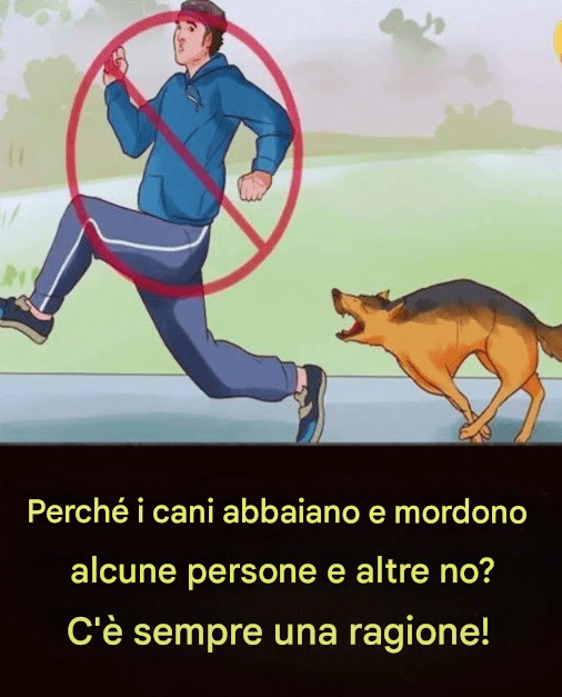 Perché i cani abbaiano e mordono alcune persone e altre no? C'è sempre un motivo!