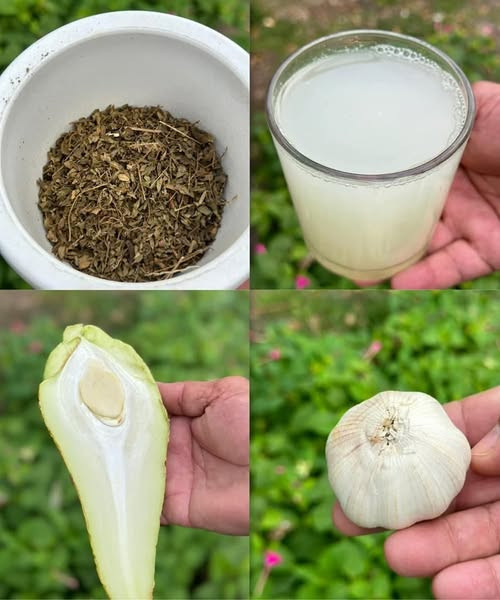 Bevanda miracolosa: un rimedio naturale per pancreas, diabete, fegato, disturbi circolatori e cancro, a costo zero!