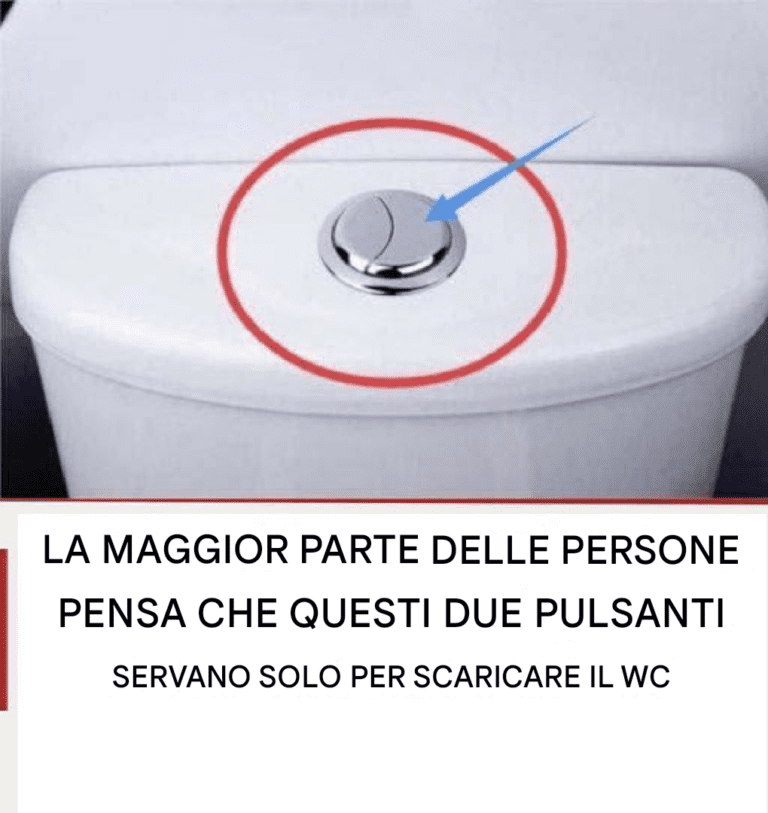 Molte persone credono che questi due pulsanti servano solo per tirare lo sciacquone.