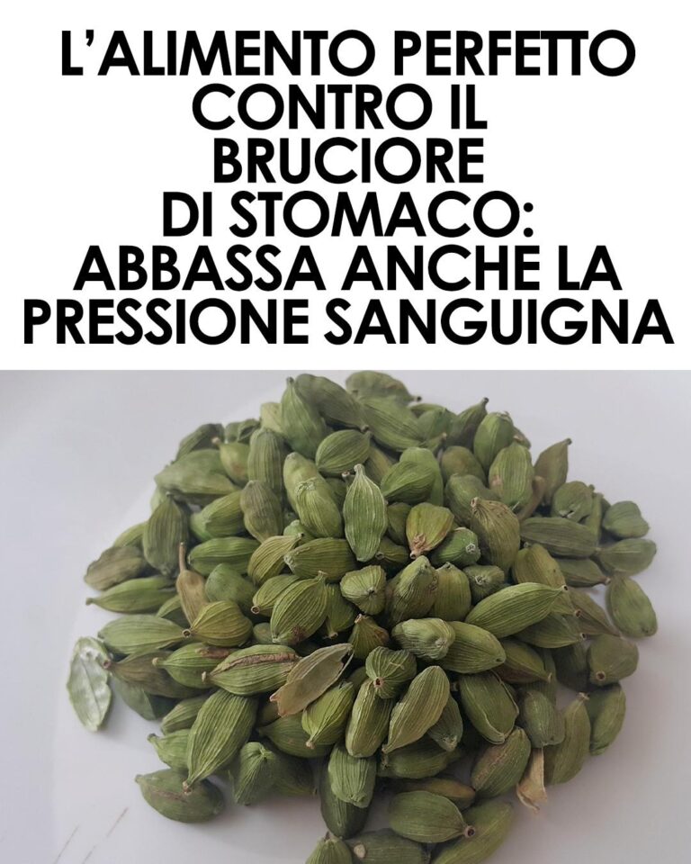 Proprietà e controindicazioni del cardamomo, la spezia utilizzata anticamente come dentifricio