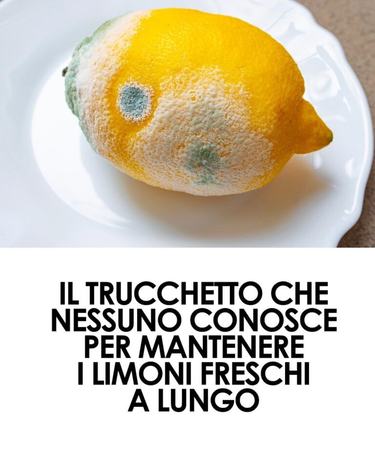 Come conservare i limoni per mantenerli freschi più a lungo e non farli ammuffire