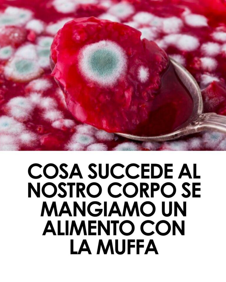 Cosa succede se mangiamo un alimento con la muffa: rischi per la salute e come comportarsi